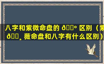 八字和紫微命盘的 🌺 区别（紫 🌸 薇命盘和八字有什么区别）